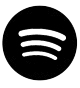 Paranoia Joe auf Spotify